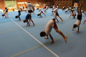 IMG 0619